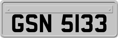 GSN5133