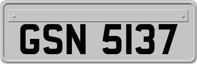 GSN5137