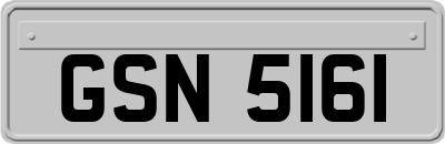 GSN5161