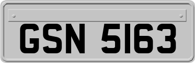GSN5163