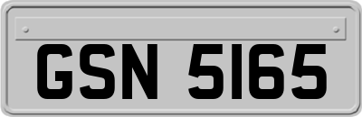 GSN5165