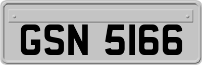 GSN5166