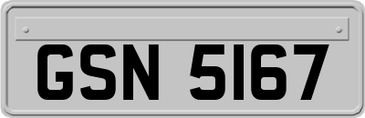 GSN5167