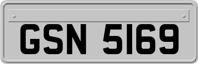 GSN5169