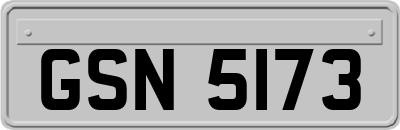 GSN5173
