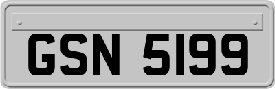 GSN5199
