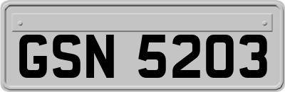 GSN5203