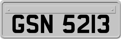 GSN5213