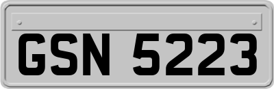 GSN5223