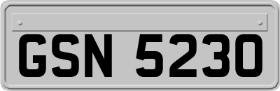 GSN5230