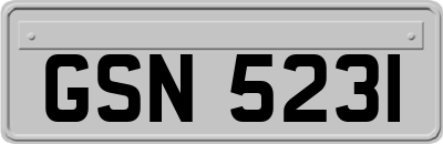 GSN5231