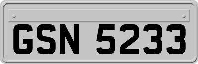 GSN5233