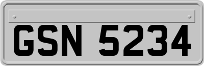 GSN5234
