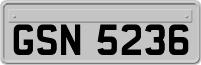 GSN5236