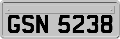GSN5238
