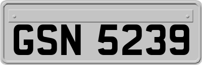 GSN5239