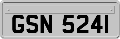 GSN5241