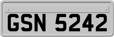 GSN5242