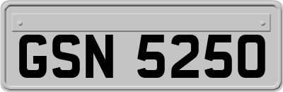 GSN5250