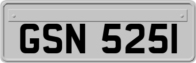 GSN5251