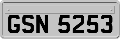 GSN5253