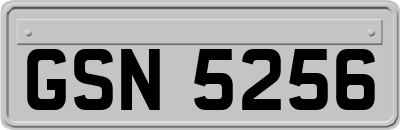 GSN5256
