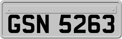 GSN5263