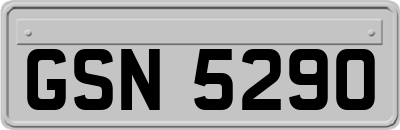 GSN5290