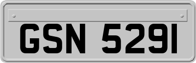 GSN5291