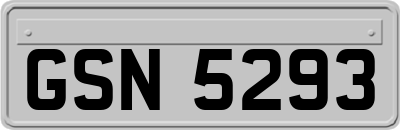 GSN5293