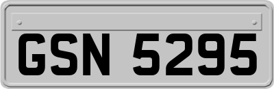 GSN5295