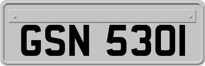 GSN5301