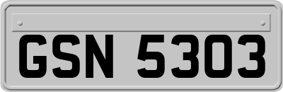GSN5303