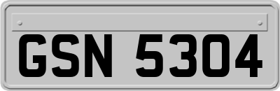 GSN5304