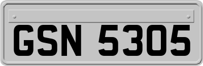 GSN5305