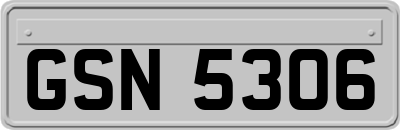 GSN5306