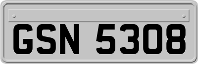 GSN5308