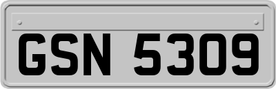 GSN5309