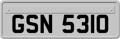 GSN5310