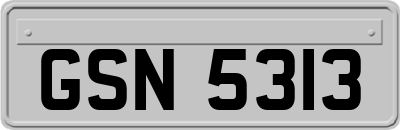 GSN5313
