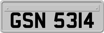 GSN5314