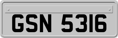 GSN5316