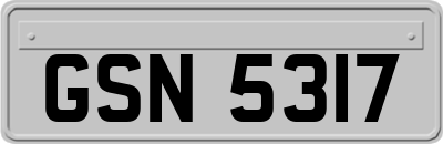 GSN5317
