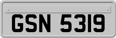 GSN5319