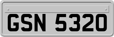 GSN5320