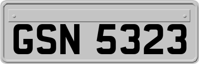 GSN5323