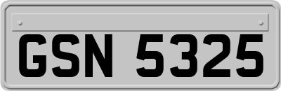 GSN5325