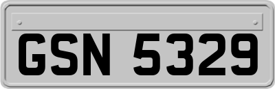 GSN5329
