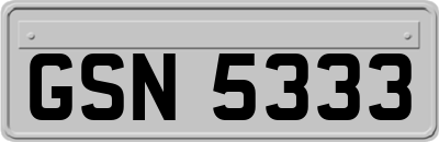 GSN5333