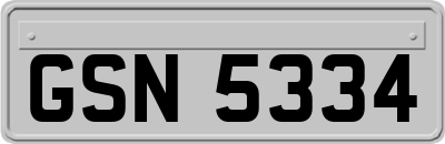 GSN5334